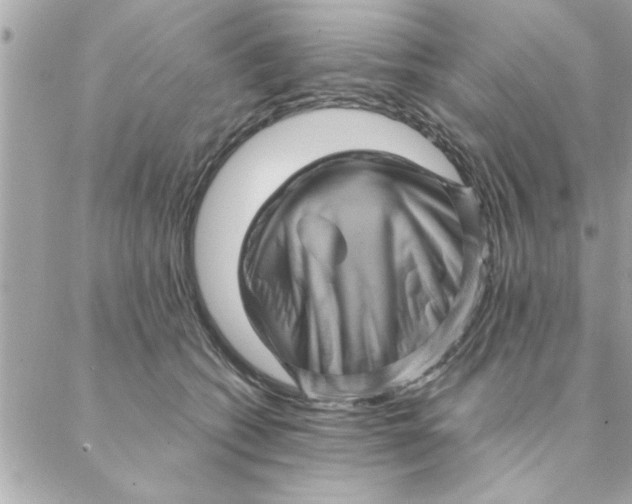 X0000088160562200706051054