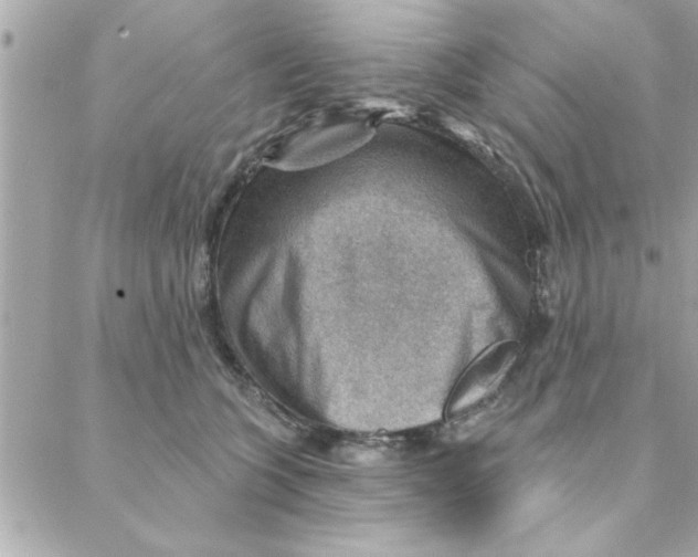 X0000088160563200706051054