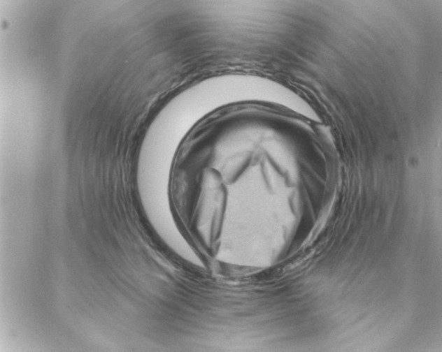 X0000088160564200706051054