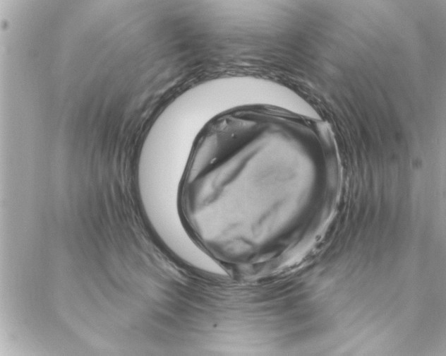 X0000088160566200706051054