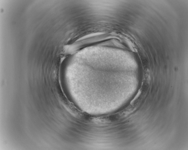 X0000088160568200706051054