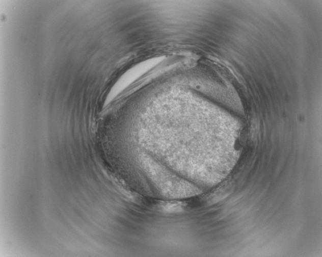 X0000088160569200706051054