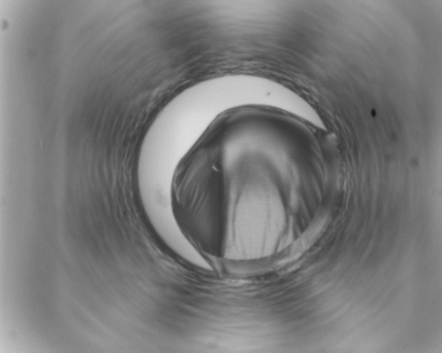 X0000088160570200706051054