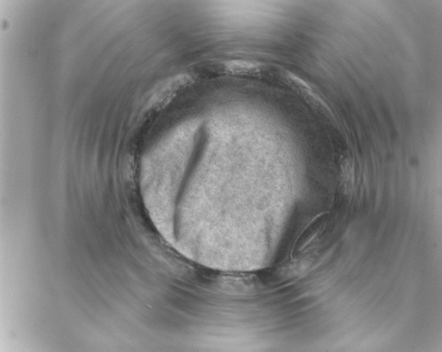 X0000088160571200706051054