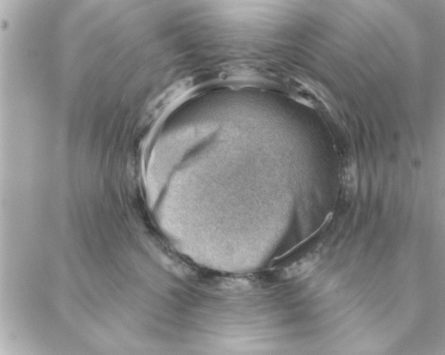 X0000088160572200706051054