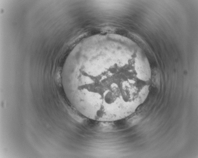 X0000088160573200706051054