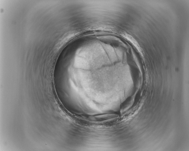 X0000088160577200706051053