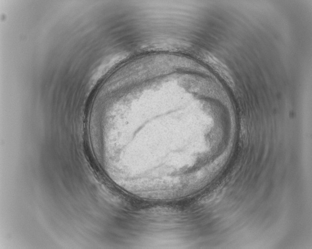 X0000088160578200706051053