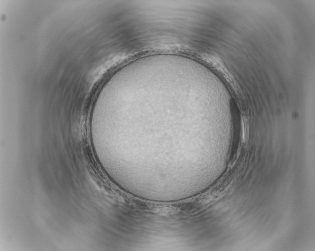 X0000088160579200706051053