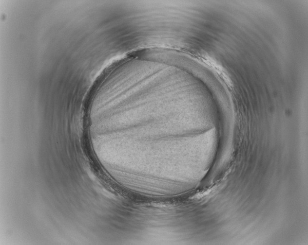 X0000088160580200706051053