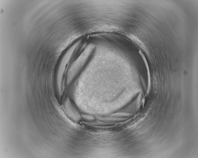 X0000088160581200706051053