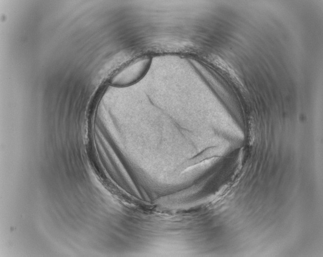 X0000088160582200706051053