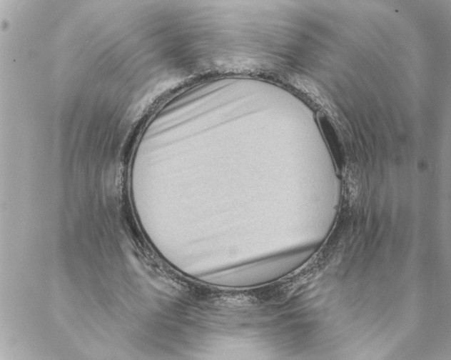 X0000088160583200706051053