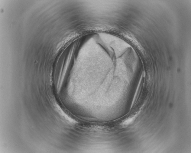 X0000088160585200706051053