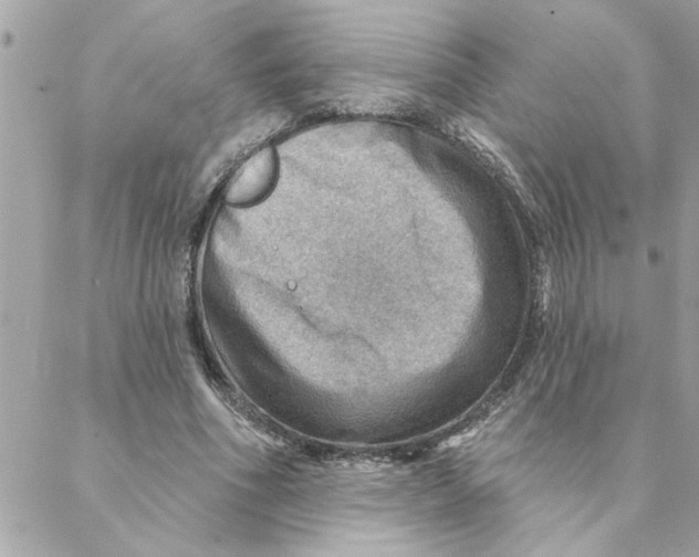 X0000088160586200706051053