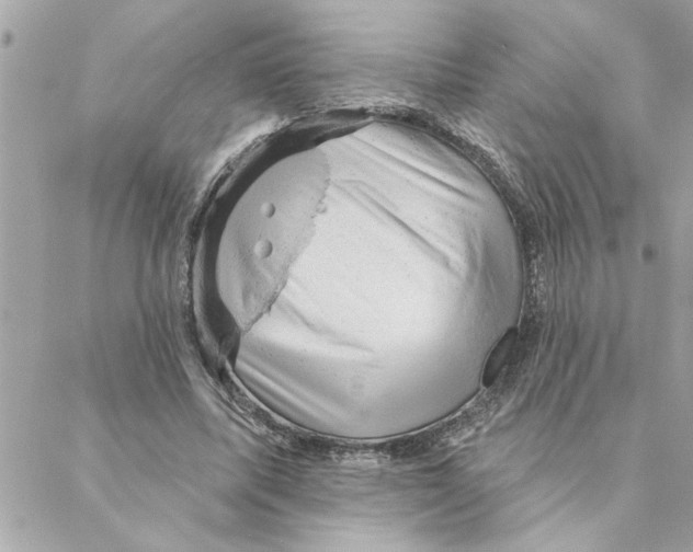 X0000088160587200706051053