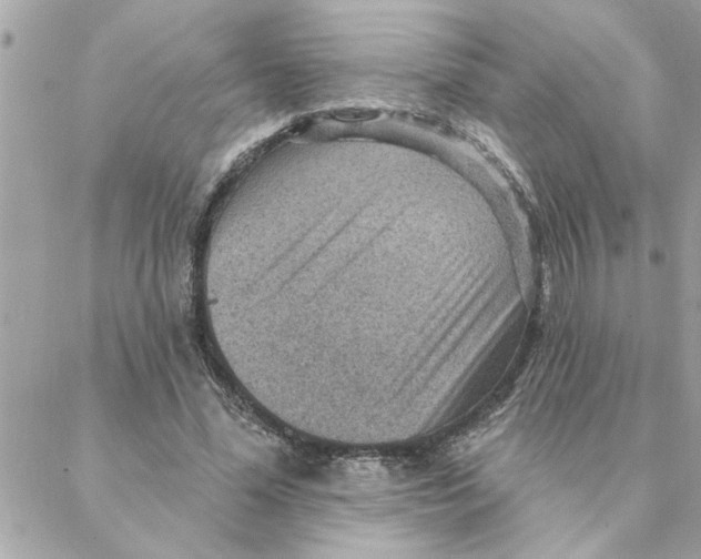 X0000088160588200706051053