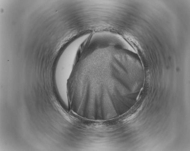 X0000088160589200706051053