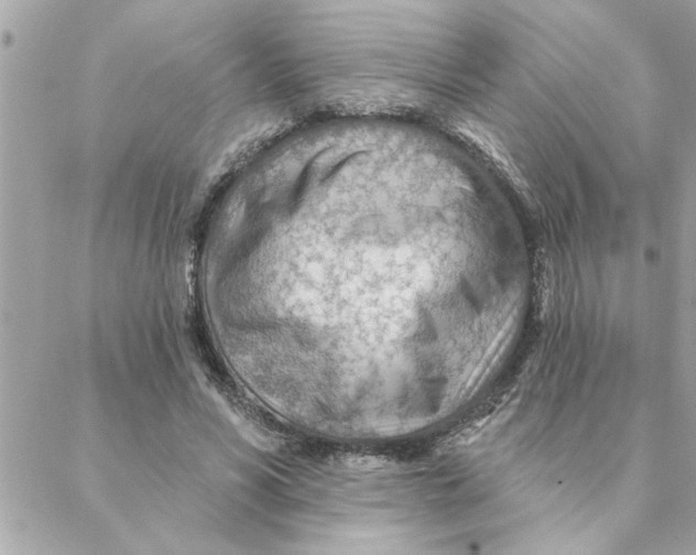 X0000088160590200706051053