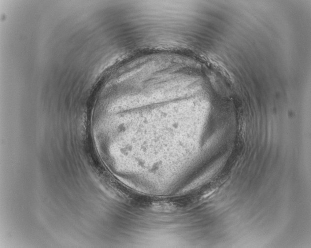 X0000088160591200706051053