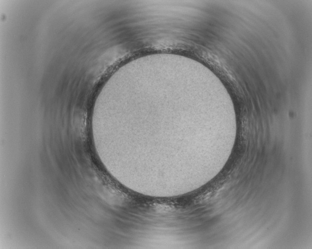 X0000088160592200706051053