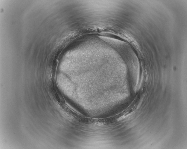 X0000088160593200706051053