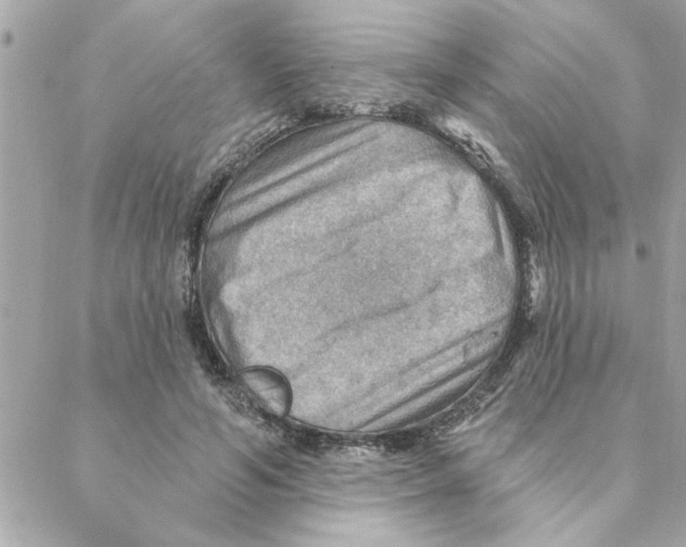 X0000088160594200706051053