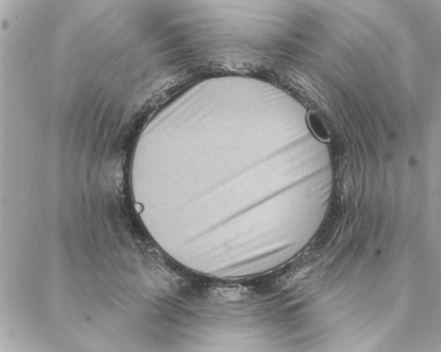 X0000088160595200706051053