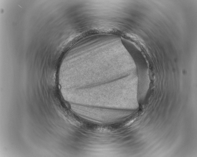 X0000088160596200706051053