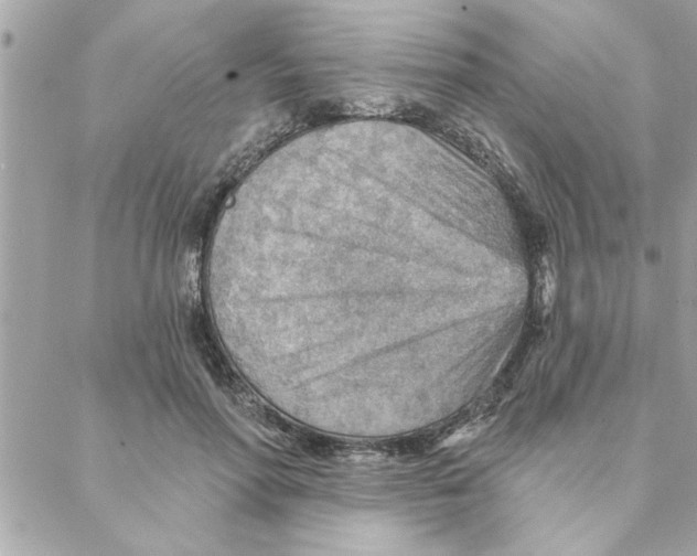 X0000088160598200706051053