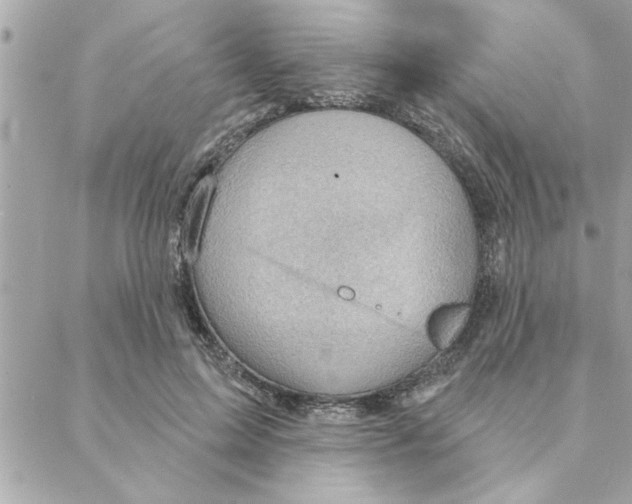 X0000088160599200706051053