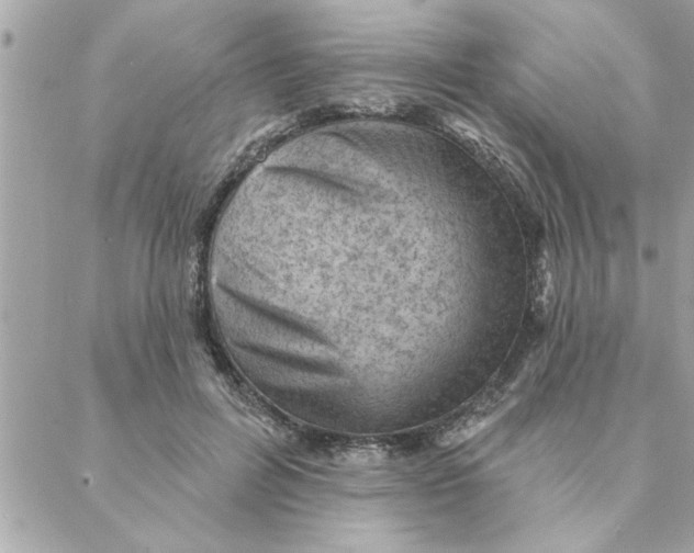 X0000088160600200706051053