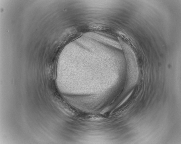 X0000088160601200706051053