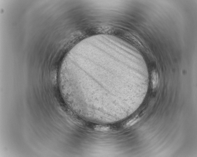 X0000088160602200706051053