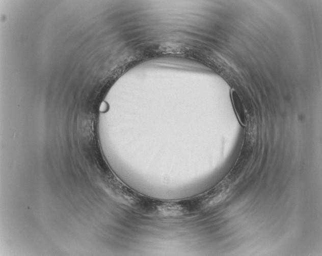 X0000088160603200706051053