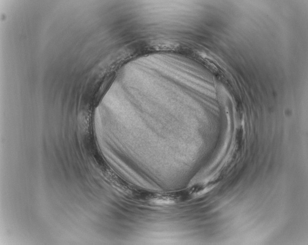 X0000088160604200706051053