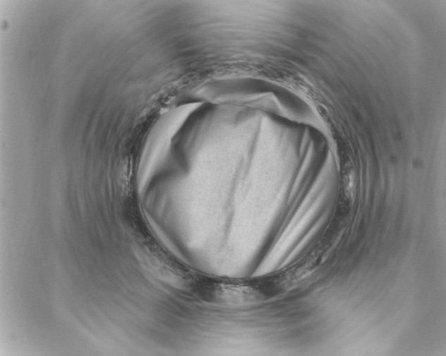 X0000088160605200706051053