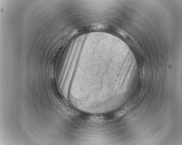 X0000088160606200706051053