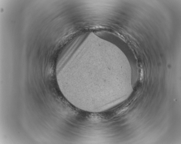 X0000088160608200706051053