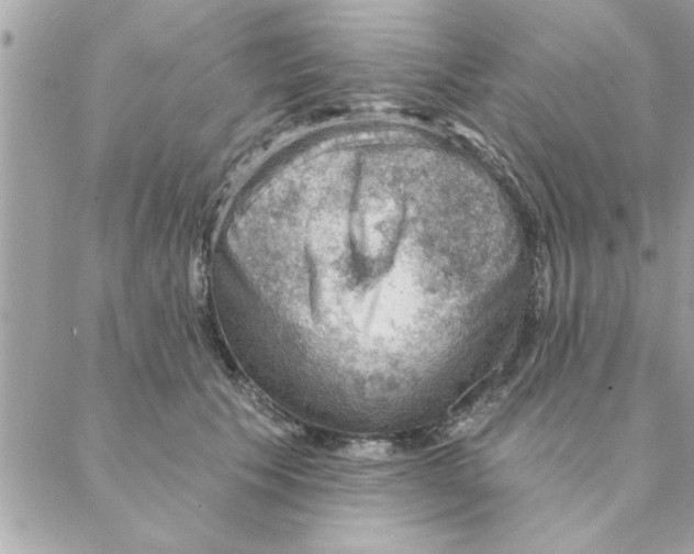 X0000088160609200706051053