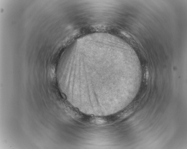 X0000088160610200706051053