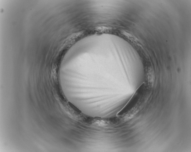 X0000088160611200706051053