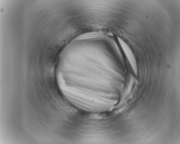 X0000088160613200706051053