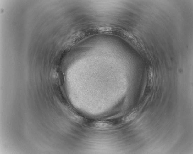 X0000088160614200706051053