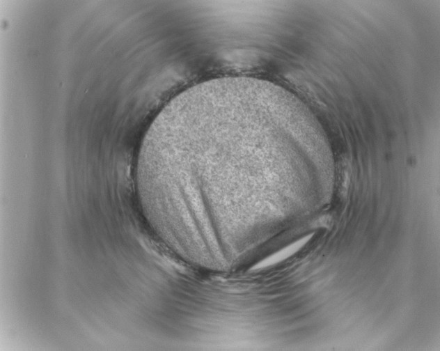 X0000088160615200706051053