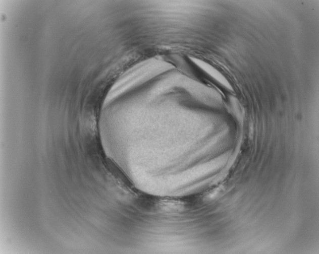 X0000088160617200706051053