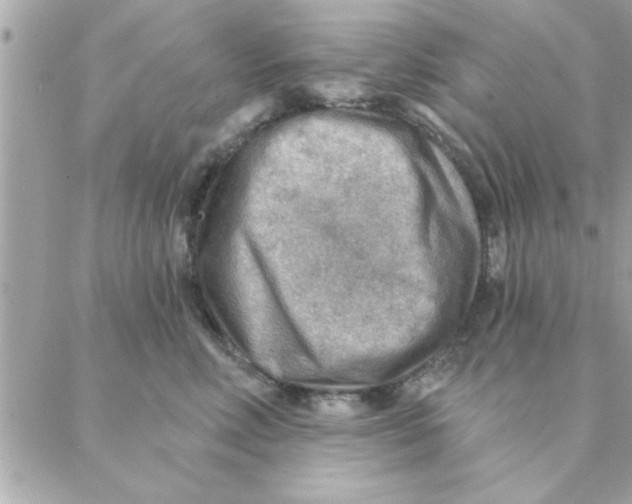 X0000088160618200706051053