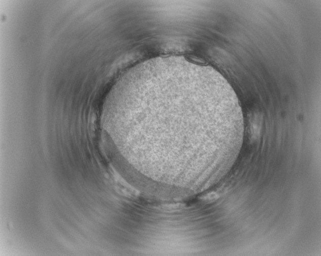 X0000088160619200706051053