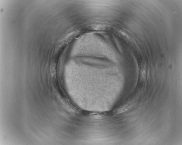 X0000088160620200706051053