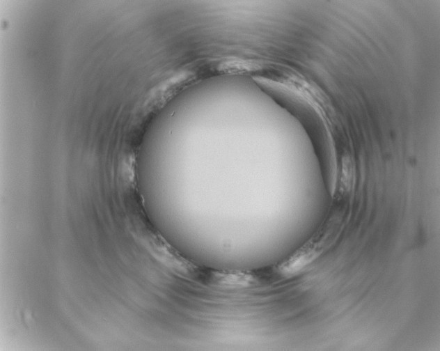 X0000088160621200706051053